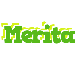 Merita picnic logo