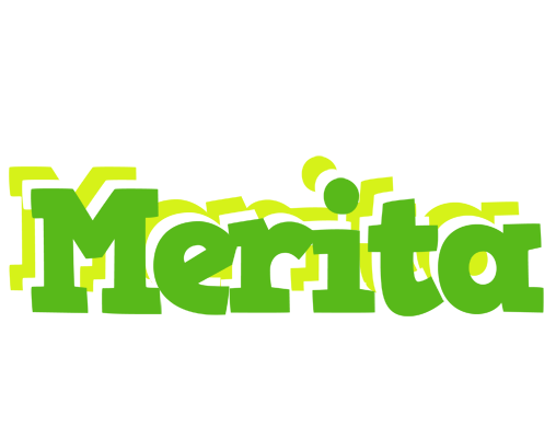 Merita picnic logo