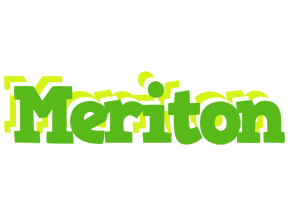 Meriton picnic logo