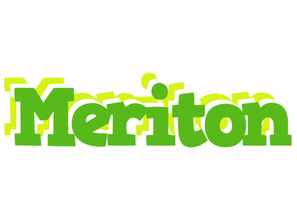 Meriton picnic logo