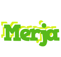 Merja picnic logo