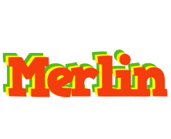 Merlin bbq logo