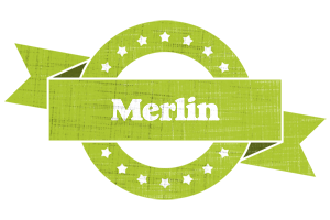 Merlin change logo