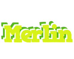 Merlin citrus logo