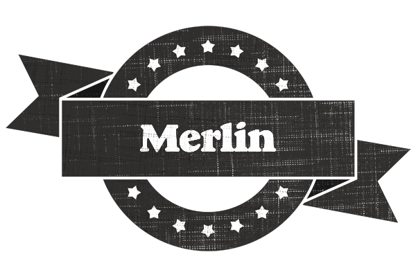 Merlin grunge logo