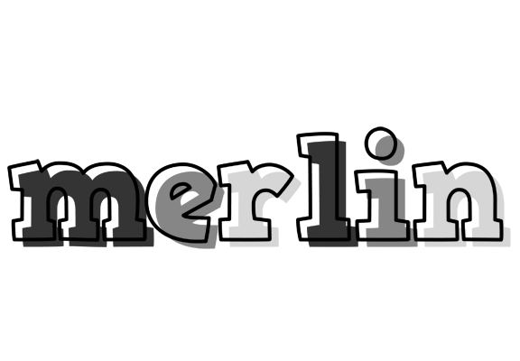 Merlin night logo