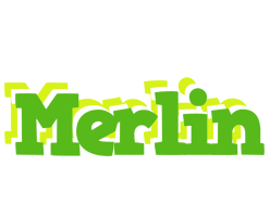 Merlin picnic logo