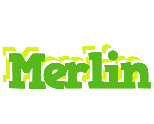 Merlin picnic logo