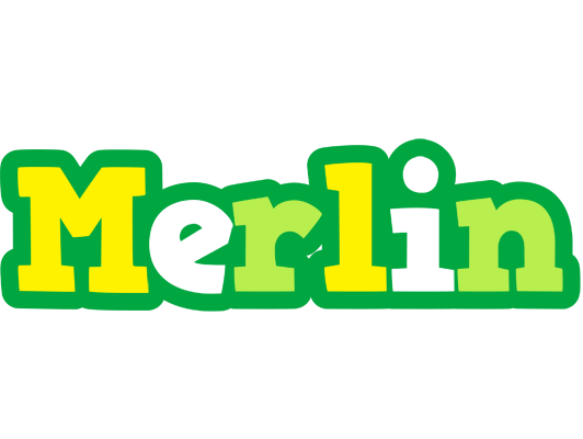 Merlin soccer logo