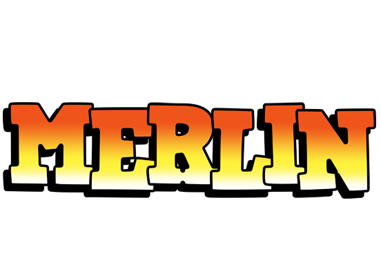 Merlin sunset logo