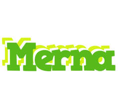 Merna picnic logo