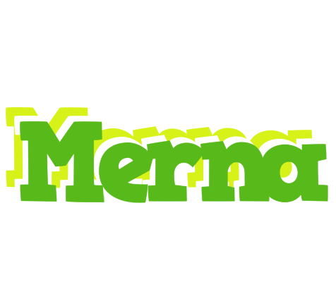 Merna picnic logo