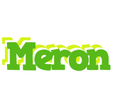 Meron picnic logo