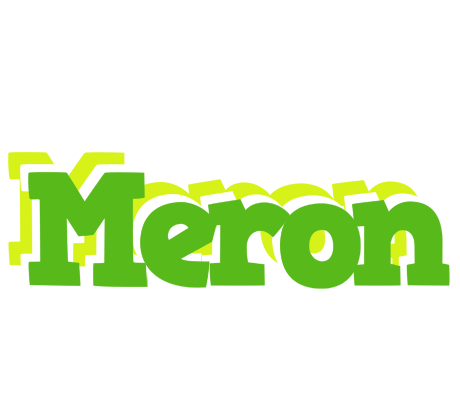 Meron picnic logo