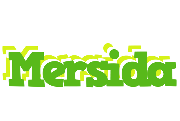Mersida picnic logo