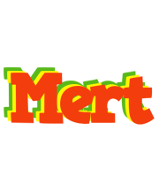 Mert bbq logo