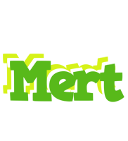 Mert picnic logo
