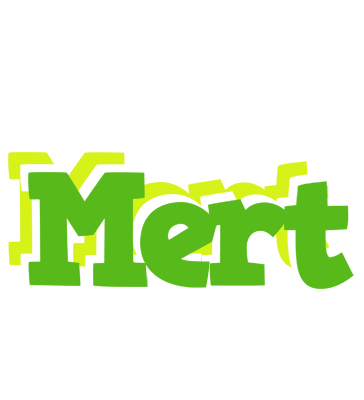 Mert picnic logo