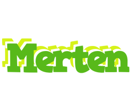 Merten picnic logo