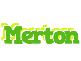 Merton picnic logo