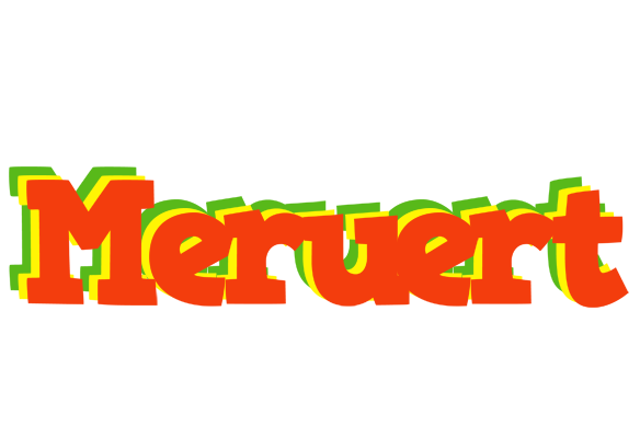 Meruert bbq logo