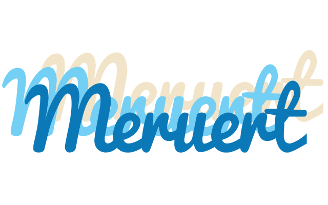 Meruert breeze logo