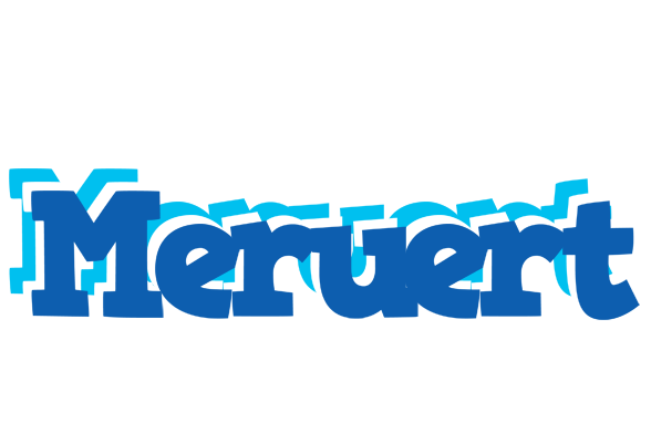 Meruert business logo