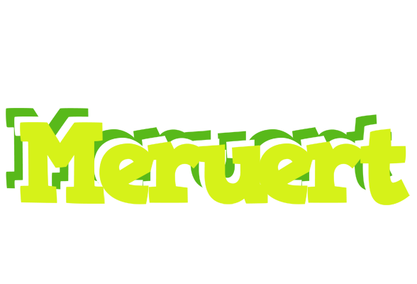 Meruert citrus logo