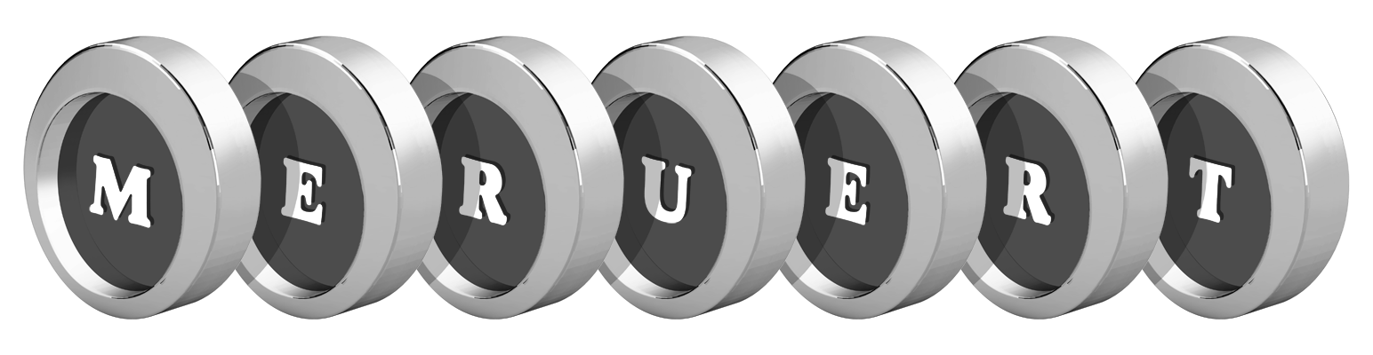 Meruert coins logo