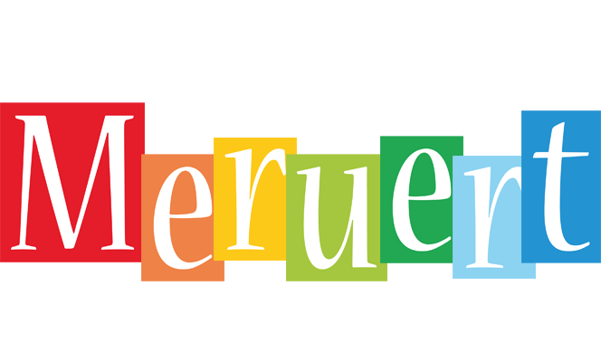 Meruert colors logo