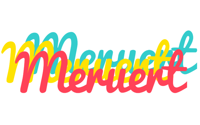 Meruert disco logo