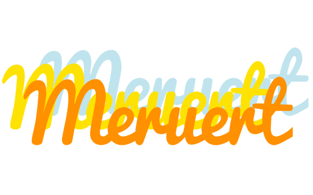 Meruert energy logo