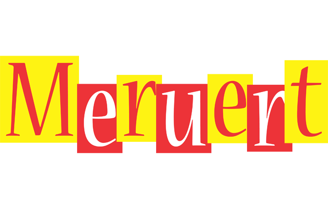 Meruert errors logo