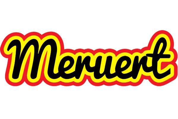 Meruert flaming logo
