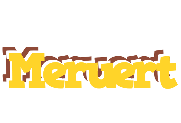 Meruert hotcup logo