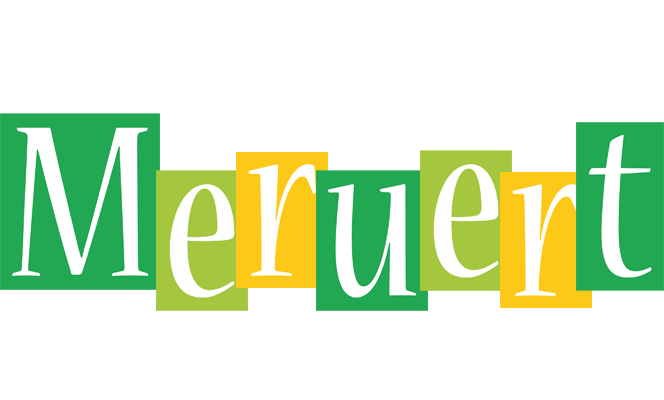 Meruert lemonade logo