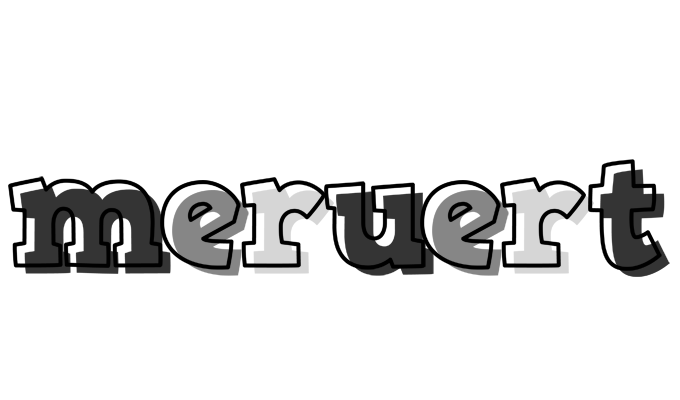 Meruert night logo