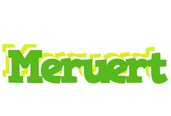 Meruert picnic logo