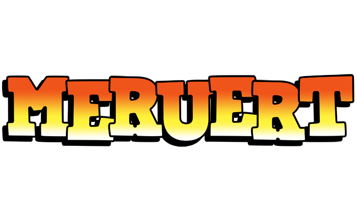 Meruert sunset logo