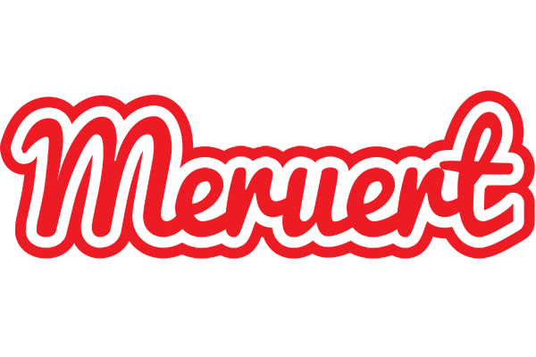 Meruert sunshine logo