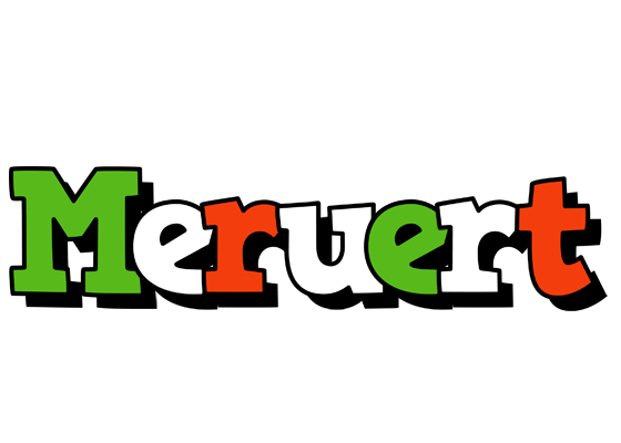 Meruert venezia logo