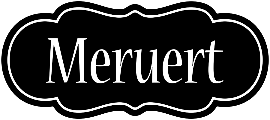 Meruert welcome logo
