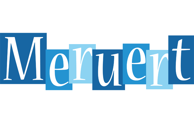 Meruert winter logo