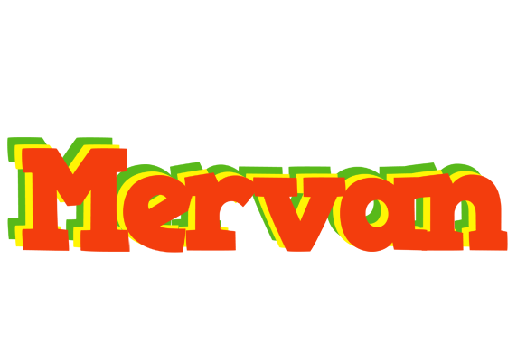 Mervan bbq logo
