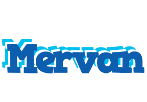Mervan business logo
