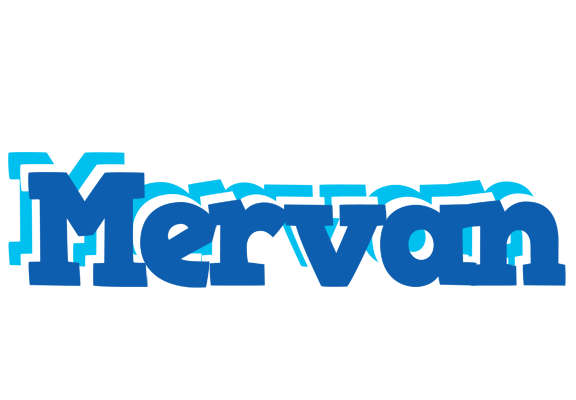 Mervan business logo