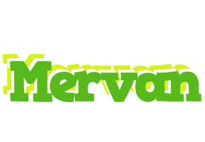 Mervan picnic logo