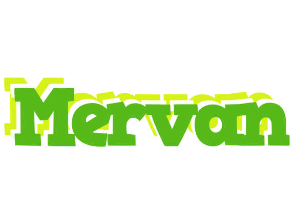 Mervan picnic logo
