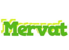 Mervat picnic logo