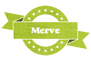 Merve change logo